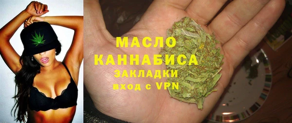 индика Арсеньев