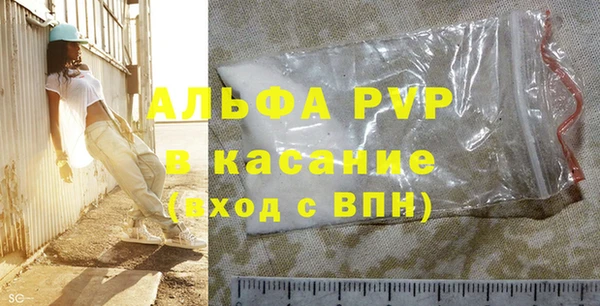 индика Арсеньев