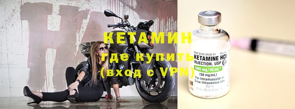 индика Арсеньев