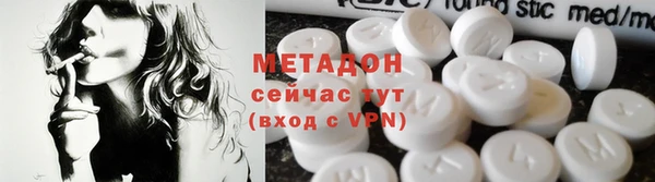 индика Арсеньев
