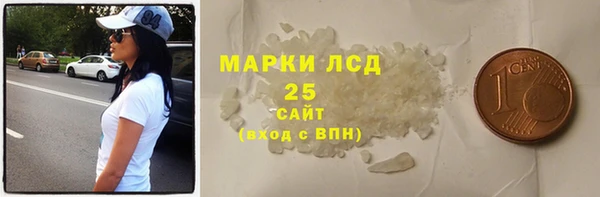 индика Арсеньев