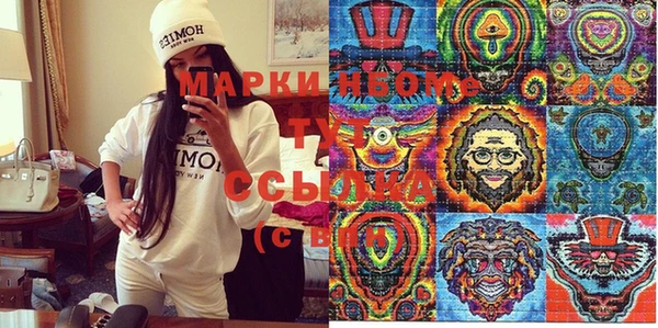 индика Арсеньев