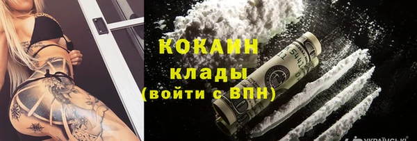 индика Арсеньев