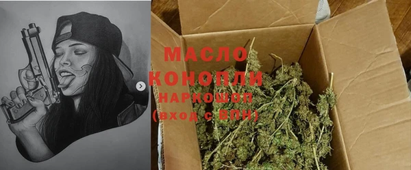 индика Арсеньев